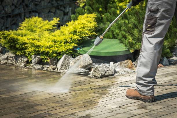 Best Pool Deck Cleaning  in Paw Paw Lake, MI